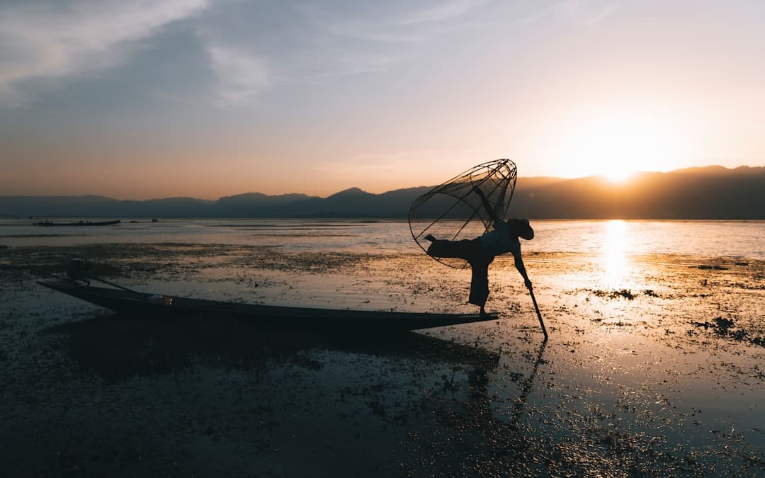 研讨发现：微塑料或许存在于一切人类胎盘中，检测了62份样本，100%发现了微塑料